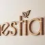 Lettrage en bois relief